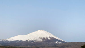 788-f0203